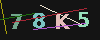 Gambar captcha